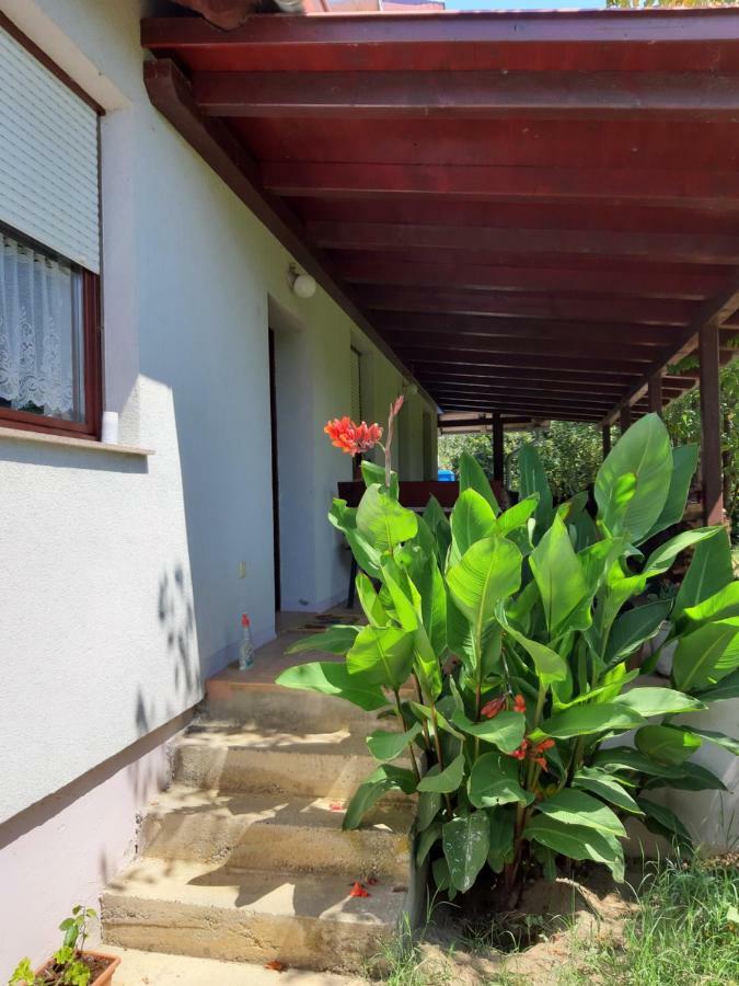 Apartment Natur Zágráb Kültér fotó