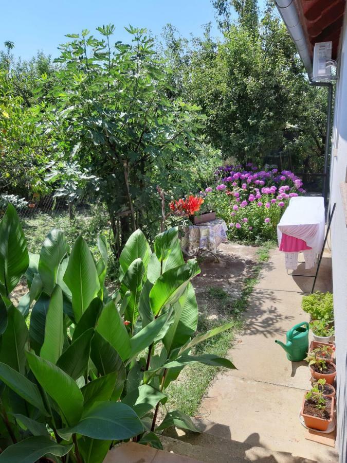 Apartment Natur Zágráb Kültér fotó